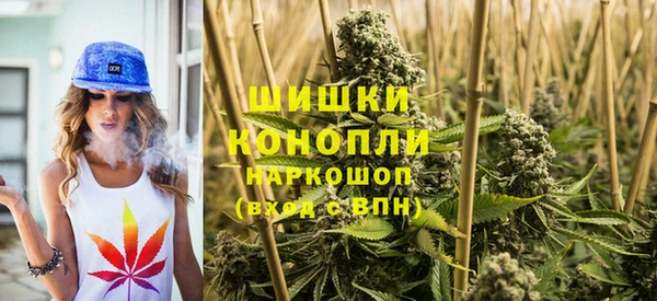ПСИЛОЦИБИНОВЫЕ ГРИБЫ Новозыбков