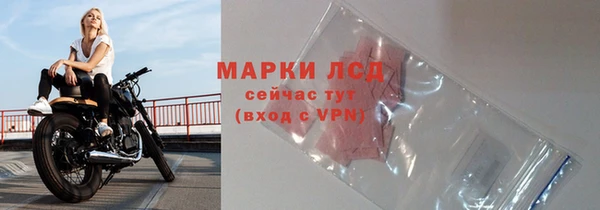 СК Нефтекумск