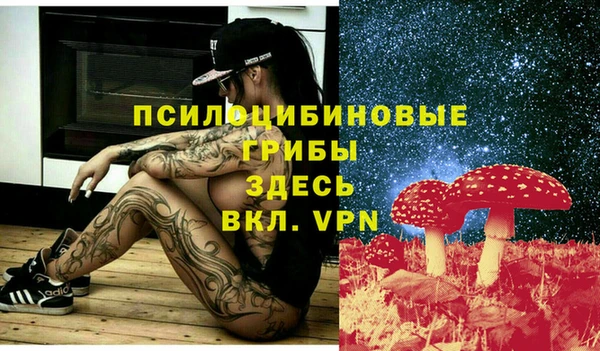 СК Нефтекумск