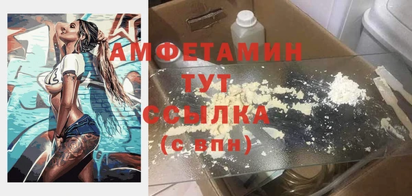 ПСИЛОЦИБИНОВЫЕ ГРИБЫ Новозыбков