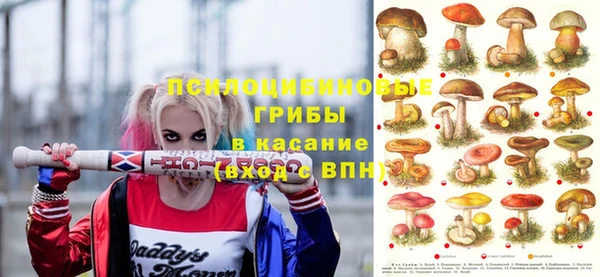 СК Нефтекумск